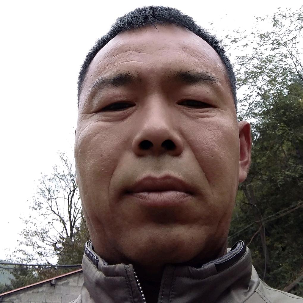老杨煤球煤块