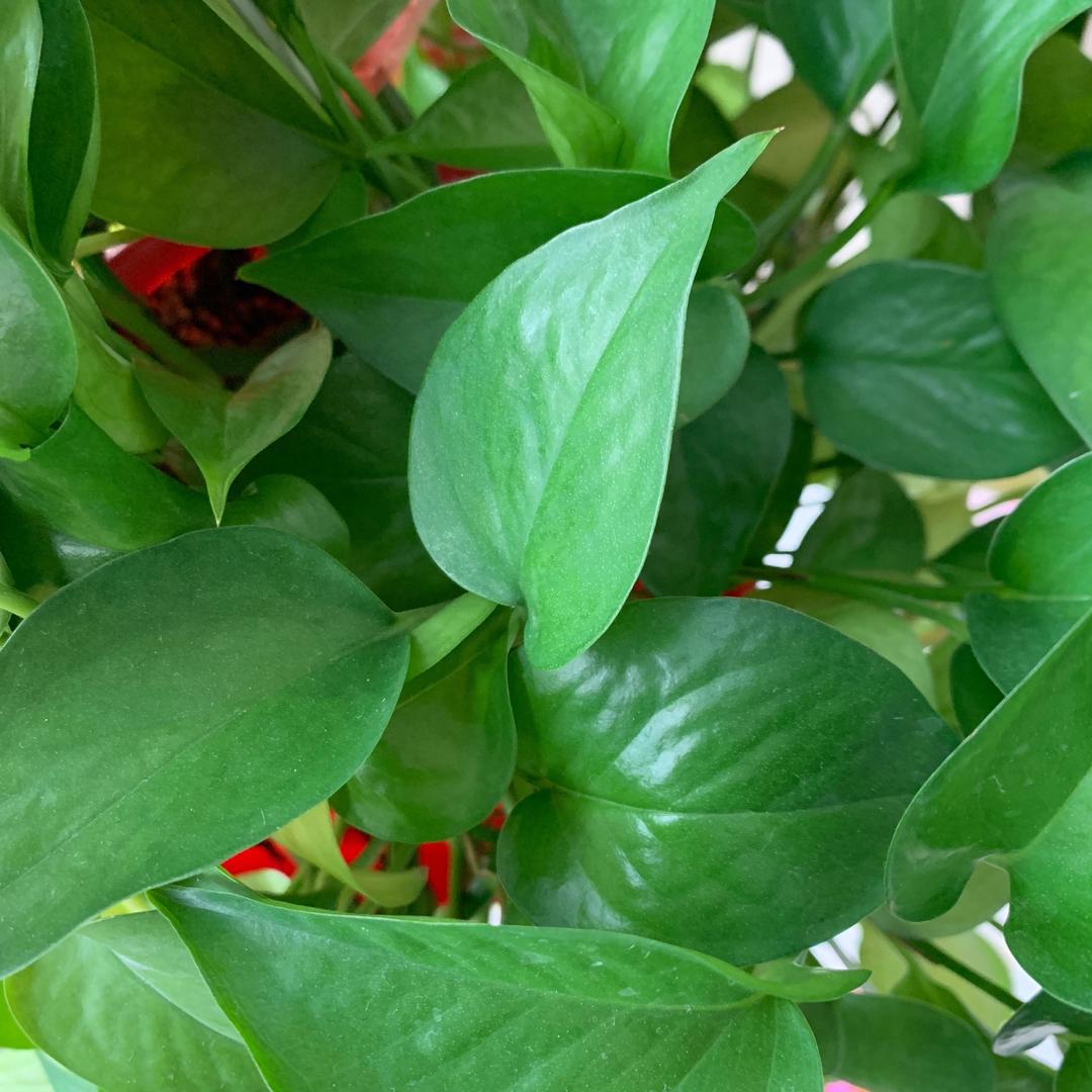 时间都去哪儿了