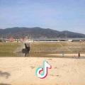 明