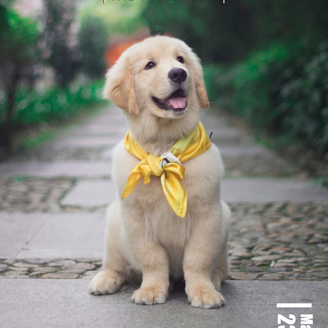 起错名的四毛@抖音