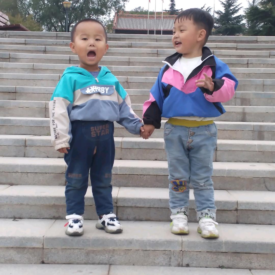 知心