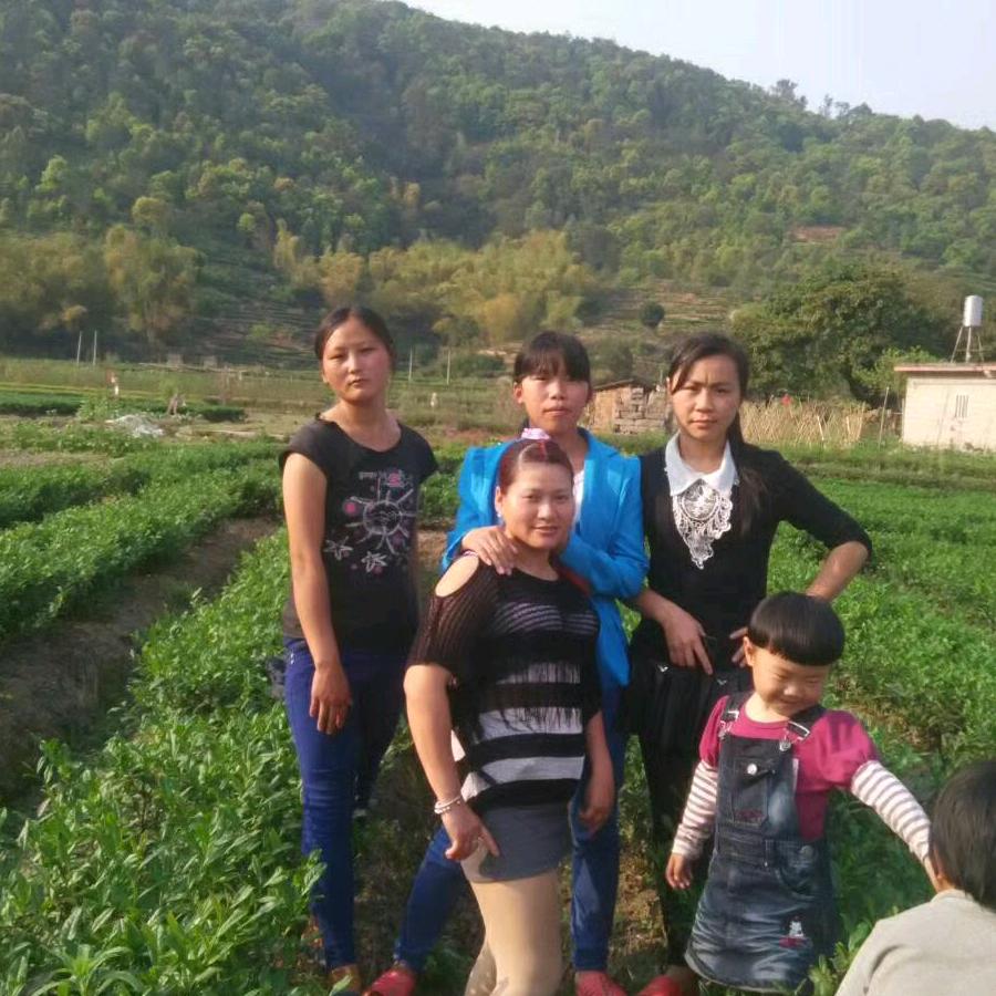 小丽