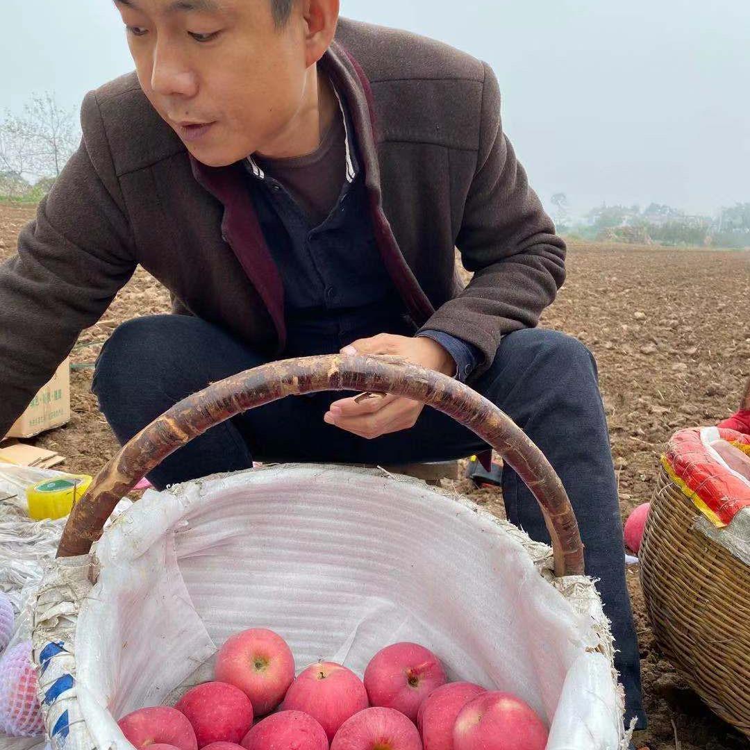 傻果-民强
