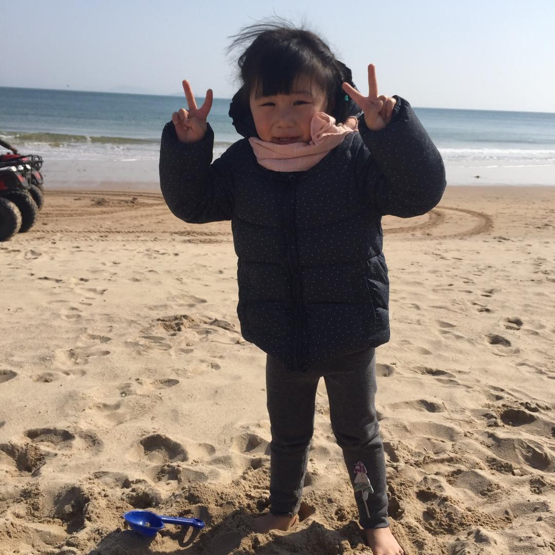 小燕子