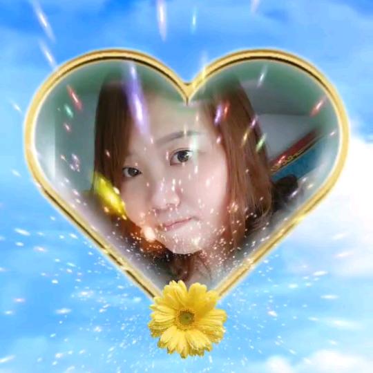 冰山雪莲
