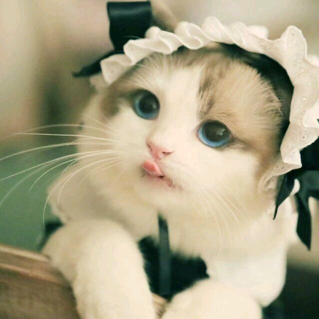 葡萄干
