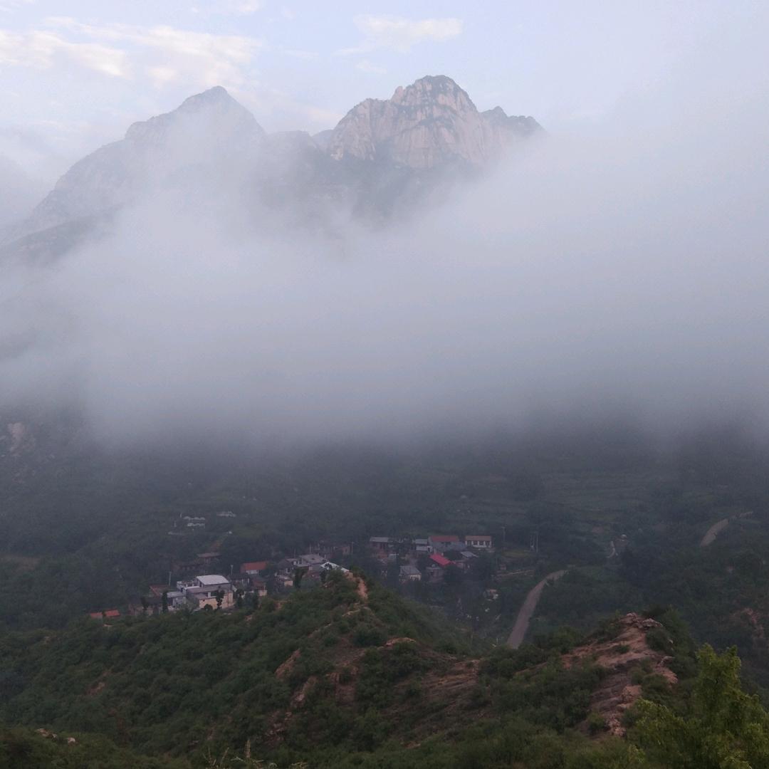 得意杨杨