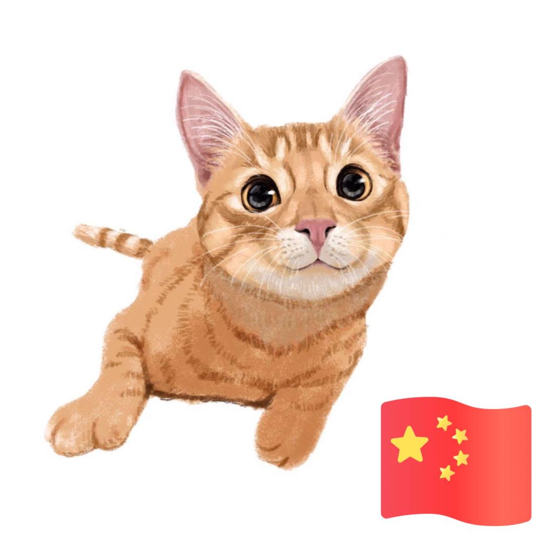 陆小猫