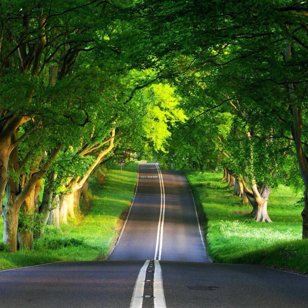 平平淡淡！！！