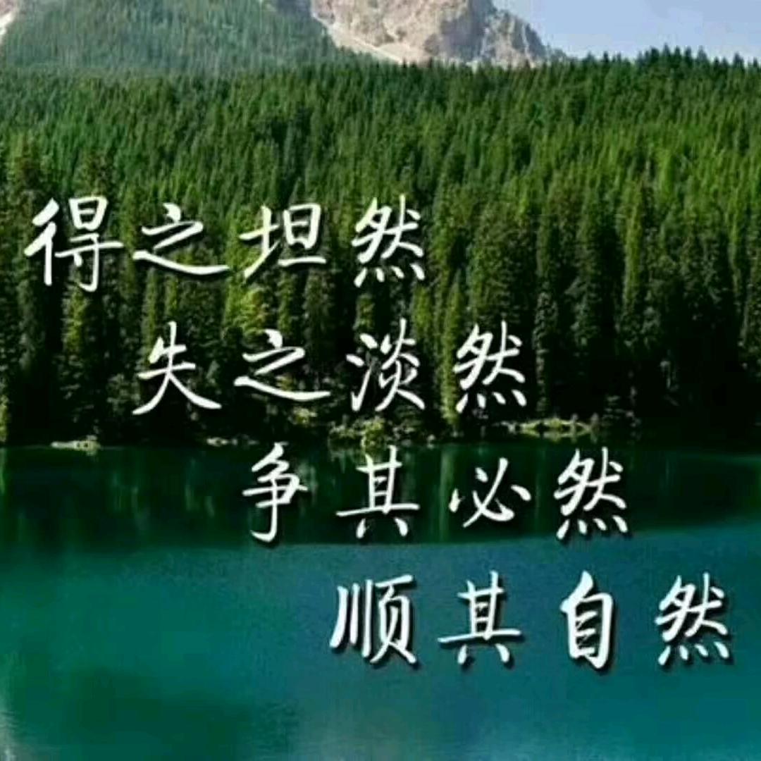 潇潇洒洒