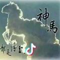 ꕥ᭄习惯被你爱ꦿঞ