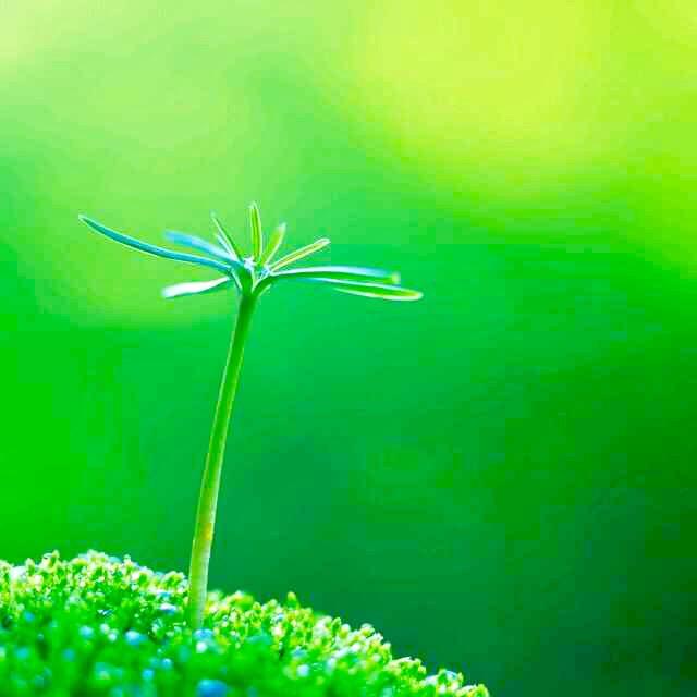 家（手机摄影）