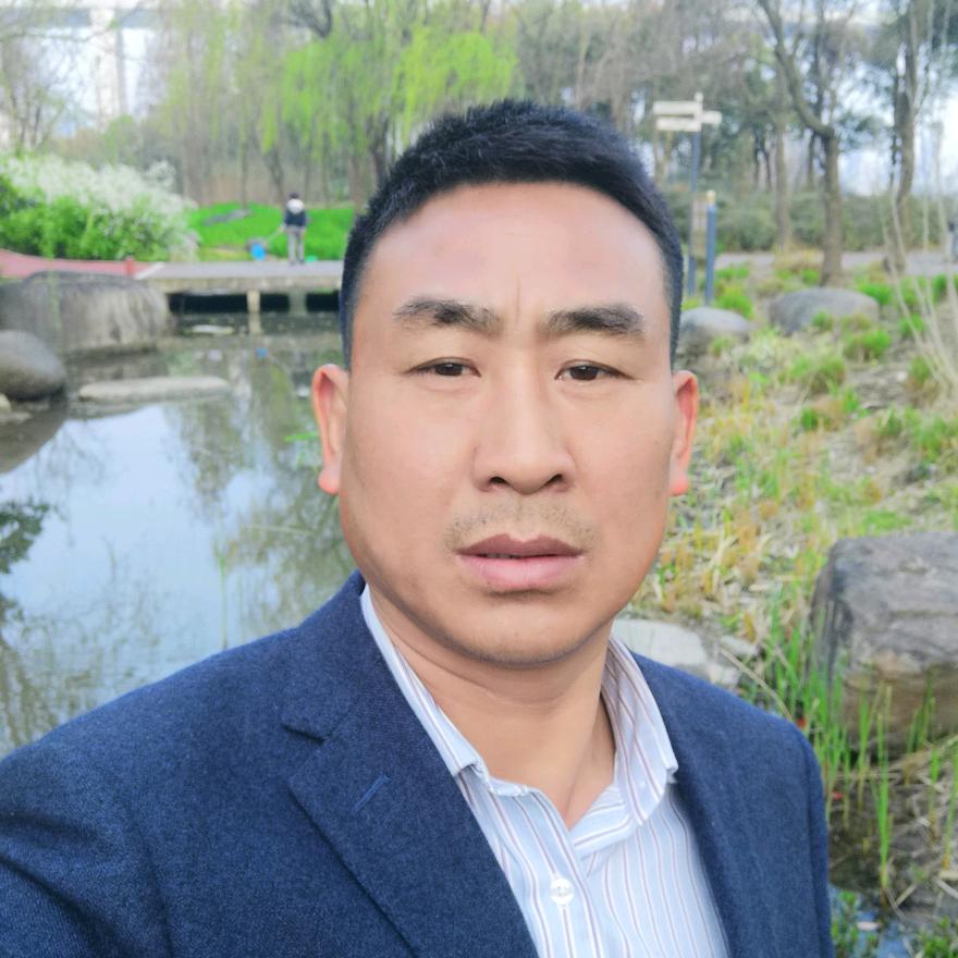 沪飘的石头