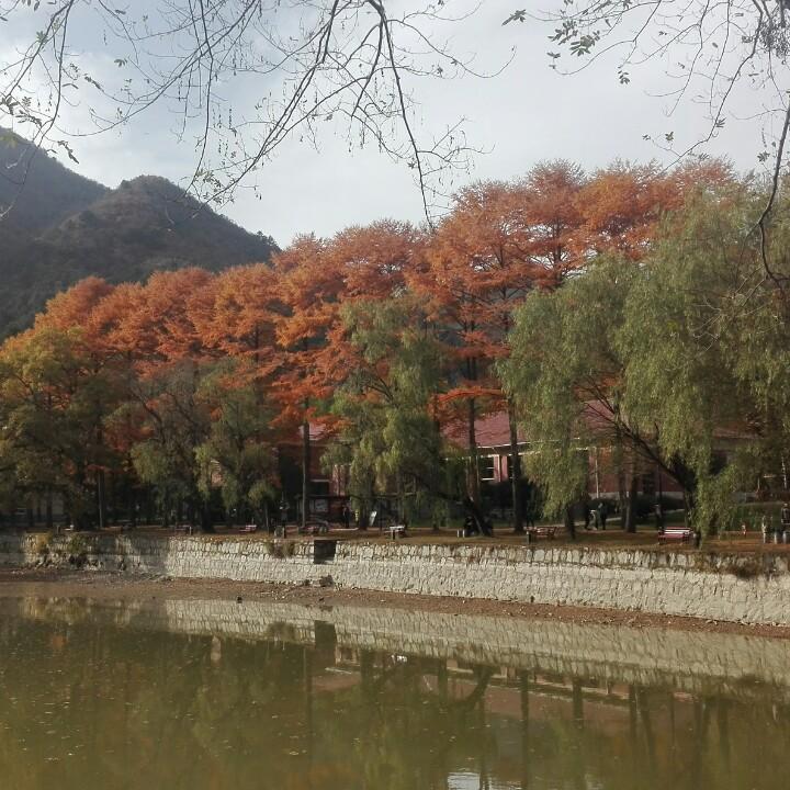 香