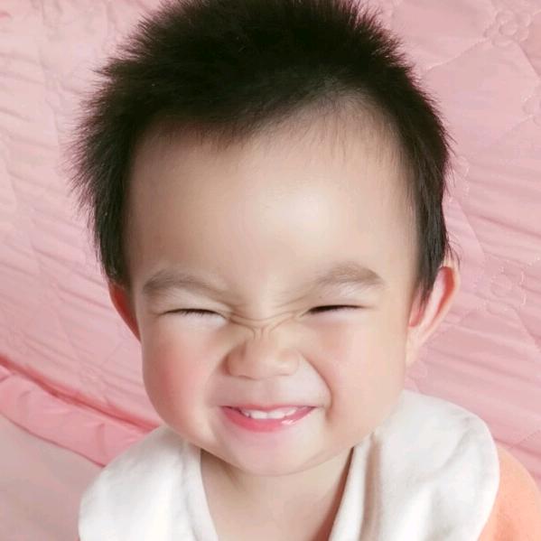 燕子记录生活