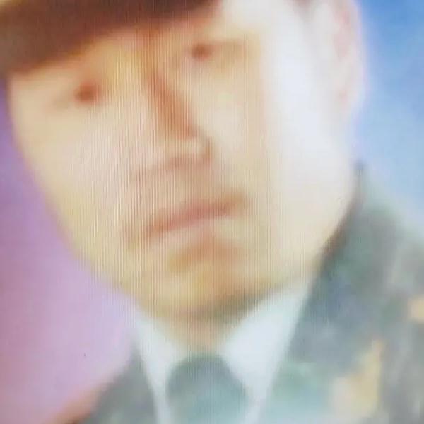 阳光无限白狼