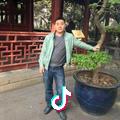 无胆匪类