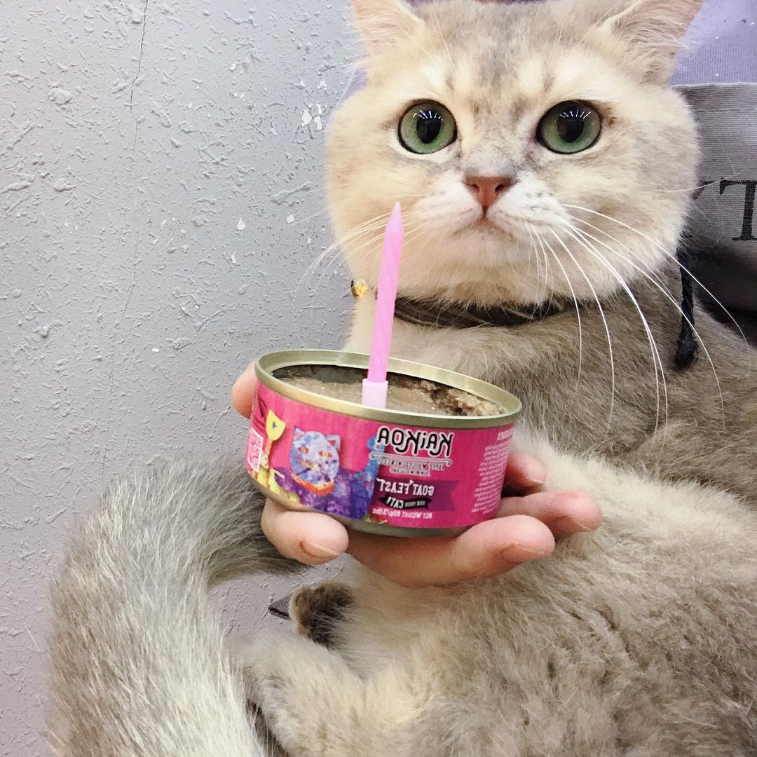 广州市番禺区市桥群仲宠物用品店