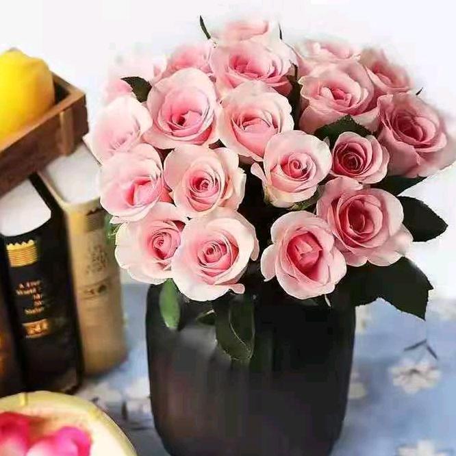 梦想还能实现吗