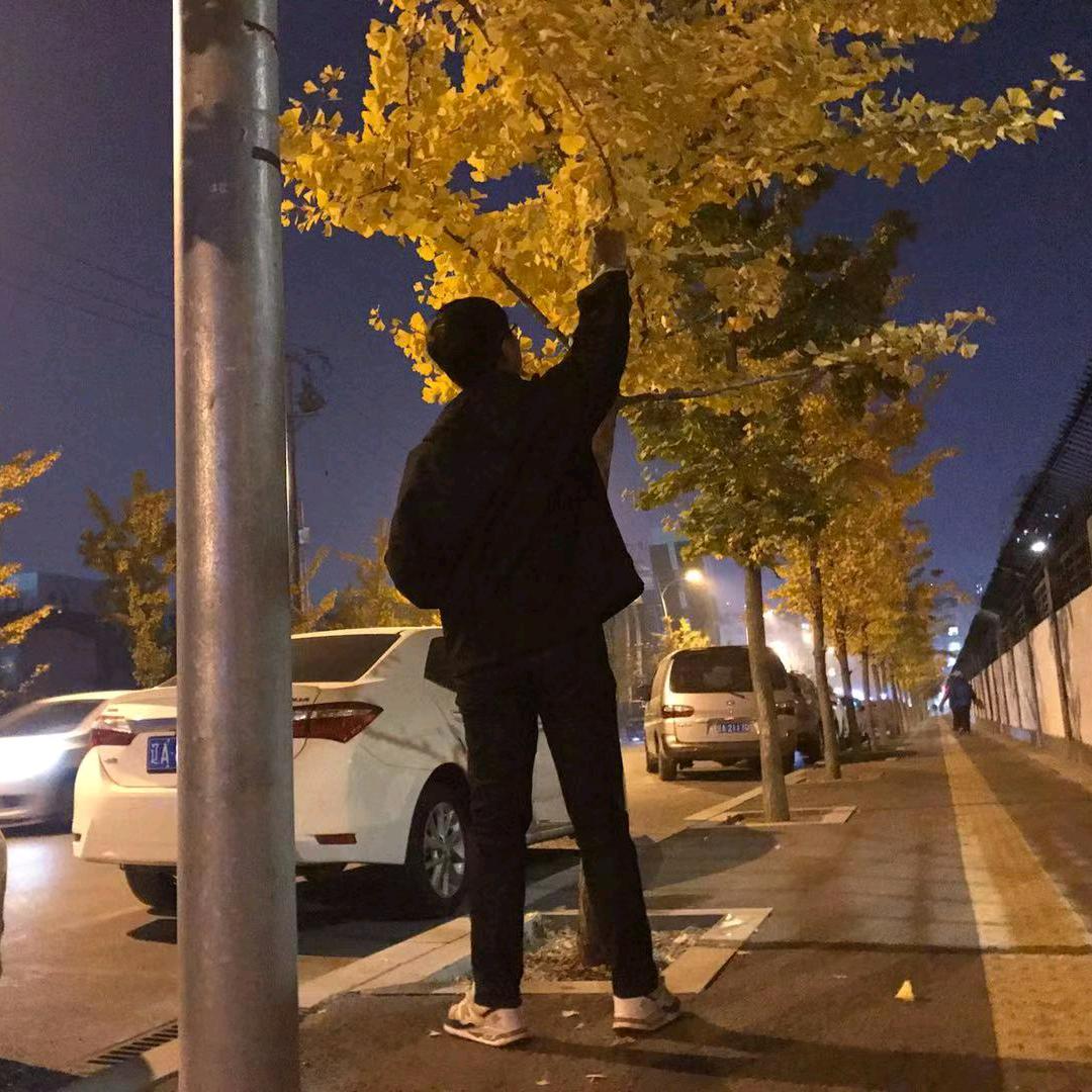 珊瑚海
