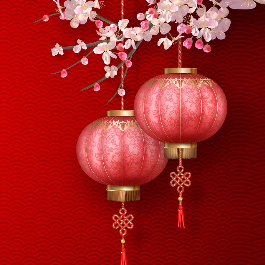 小鱼儿