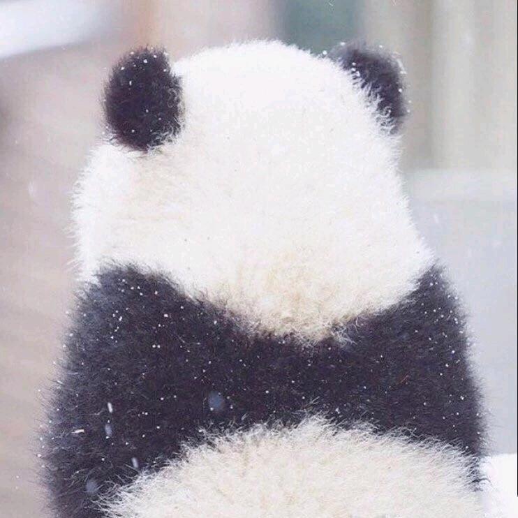 🙄上班的西红柿🍅