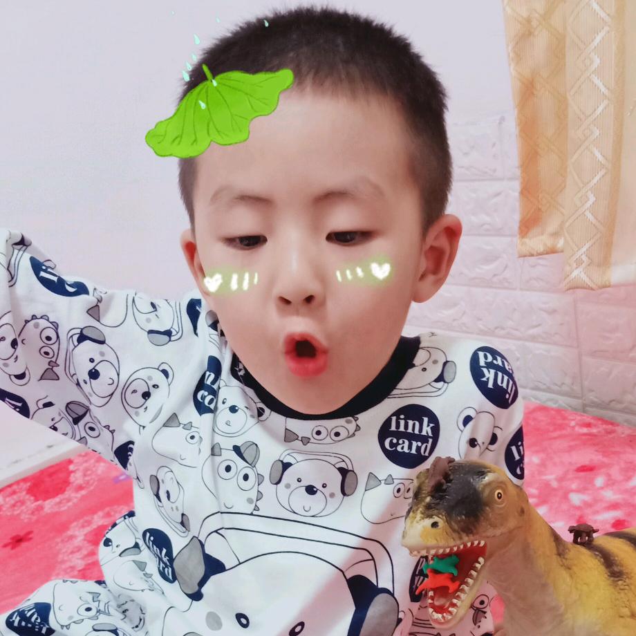 不曾停留