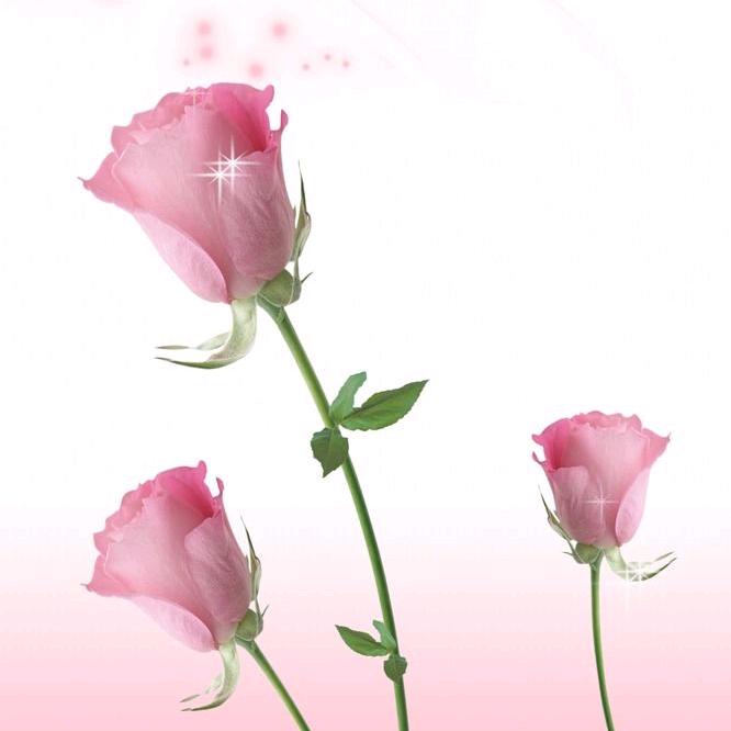 谜