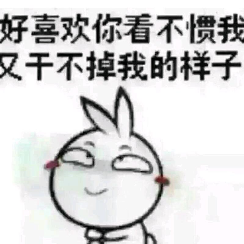 小绵狼