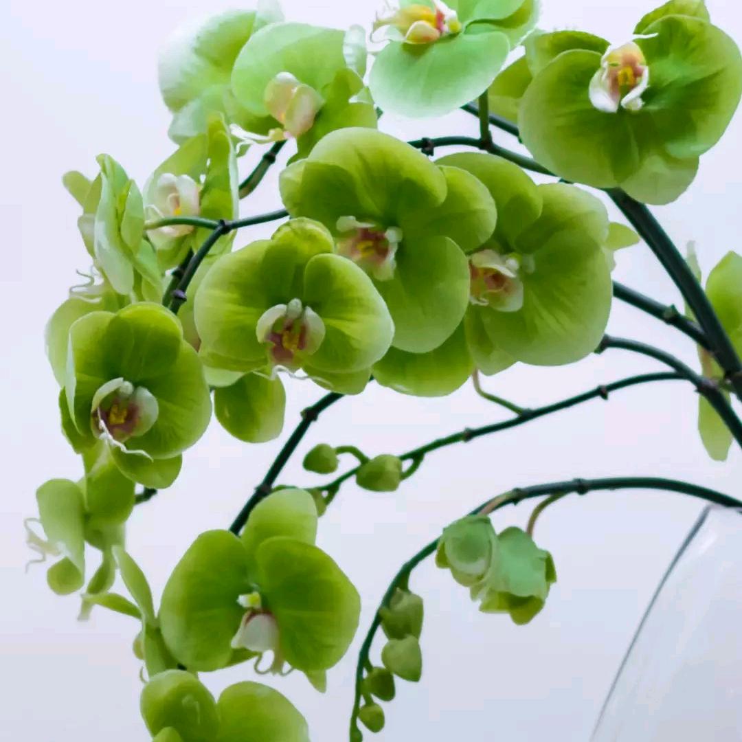 冲破黎明