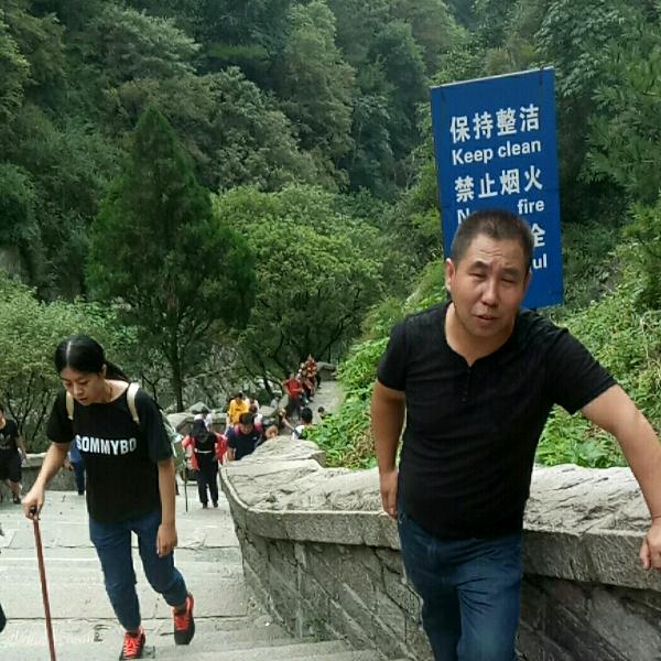 路自己走
