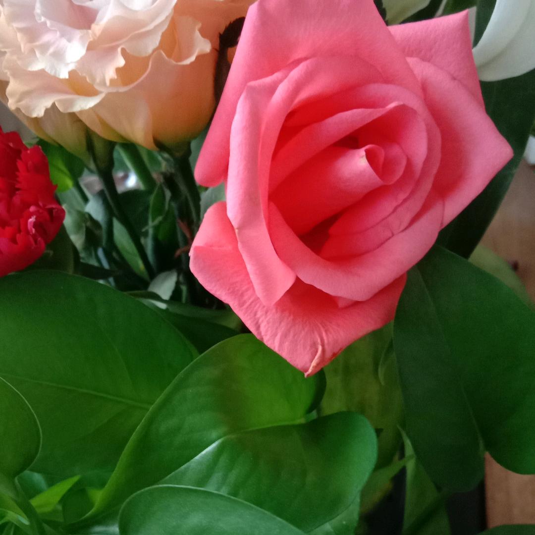 寿光永健美容养生馆