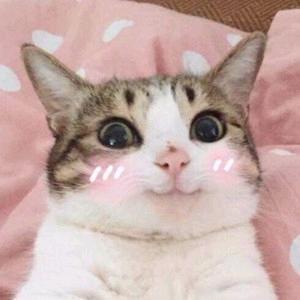 sinba