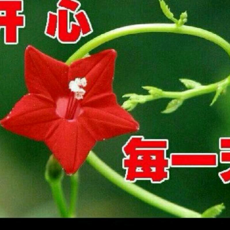 开心是福