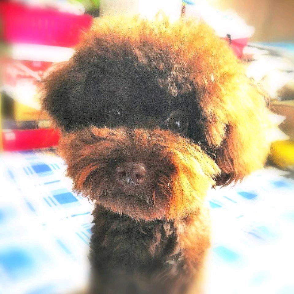 逝去的青葱丶岁月