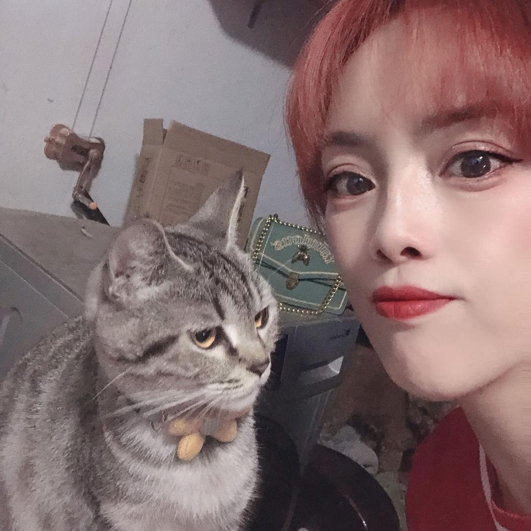 🌈糖糖( ͡°❥ ͡°)