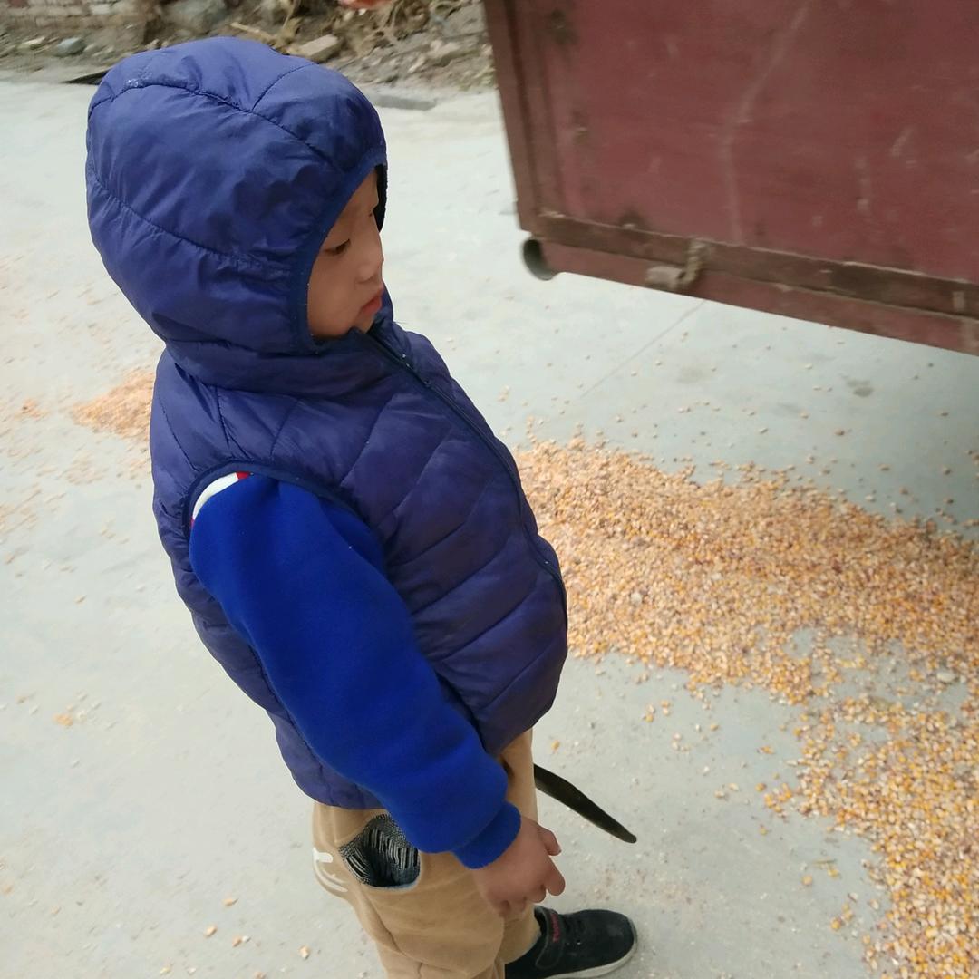 小高贴砖（淄博）