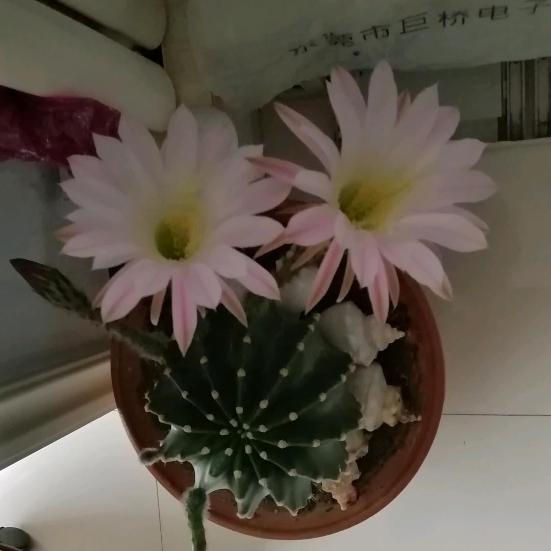 ！！！