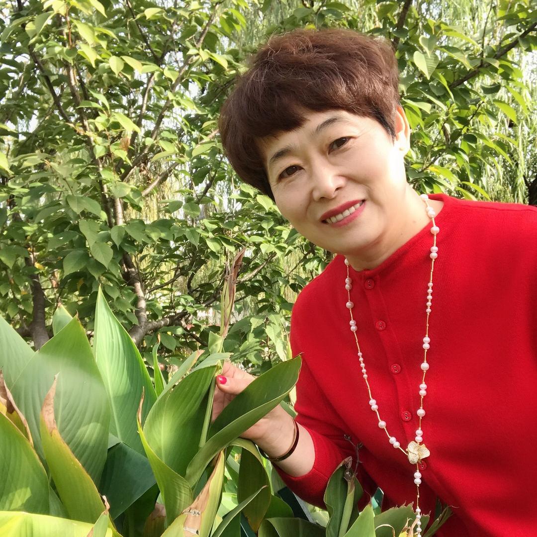 陆红花