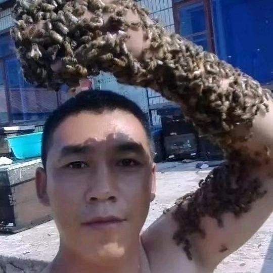 王三蜂