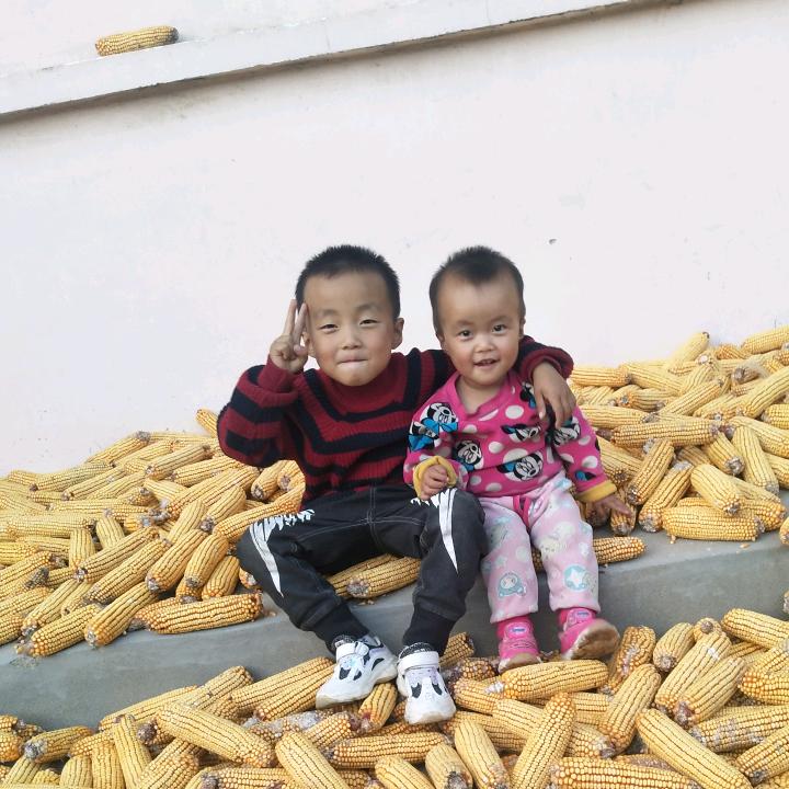 小于有财