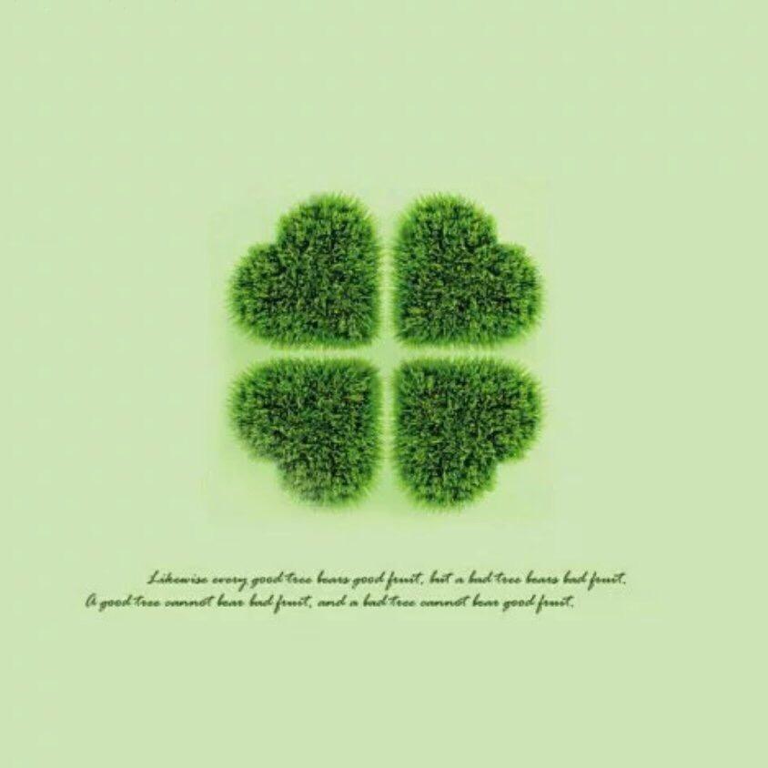 新年快乐鲜花花开