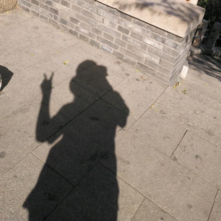 人生就是一场未知的旅行