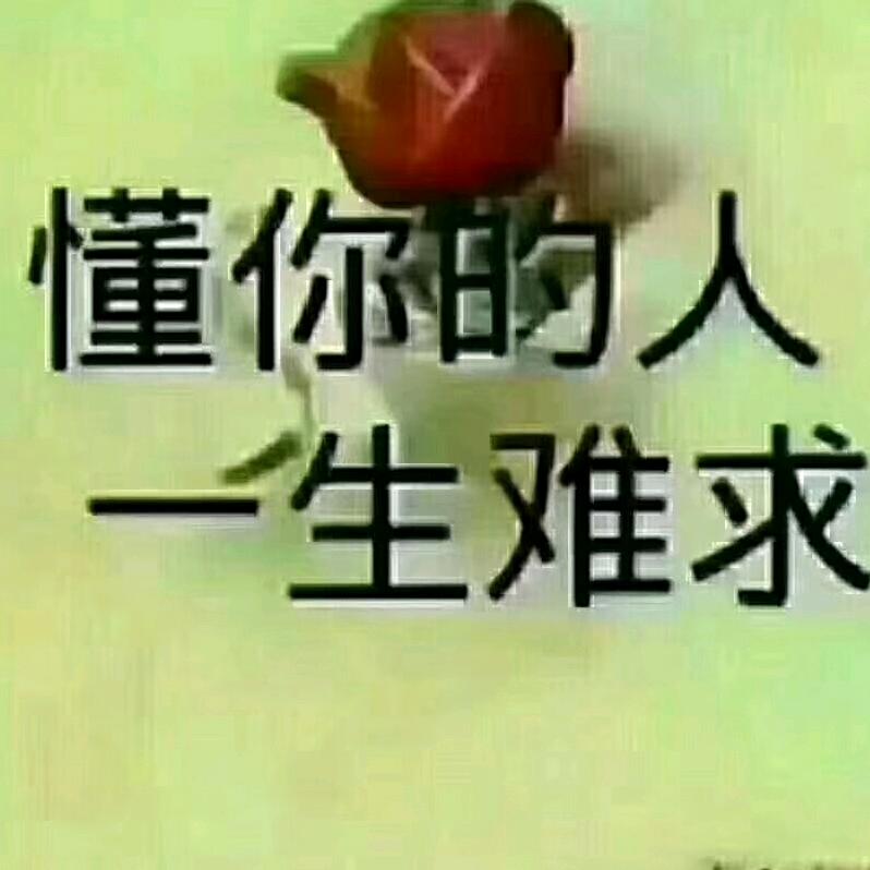 寻梦人❤️