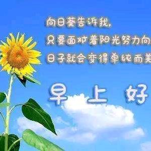 阳光凡哥