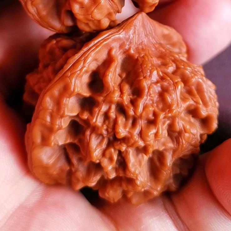 Mr.王🇨🇳
