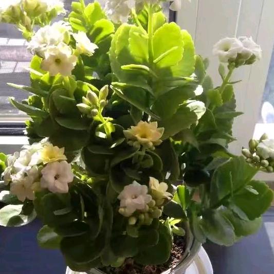 行者无界