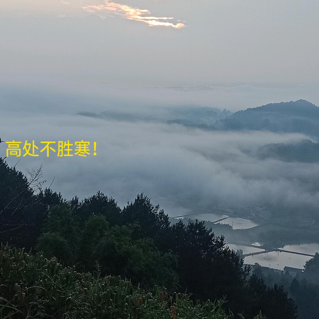 红尘过客！