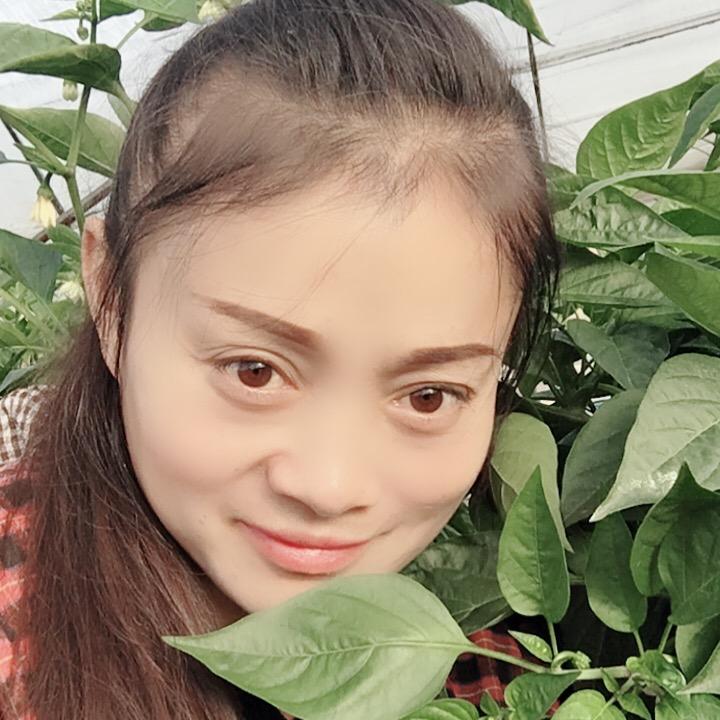 莉姐蔬菜种植场