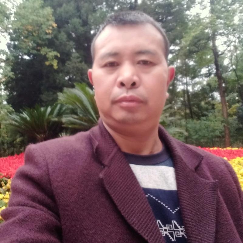 王奎力